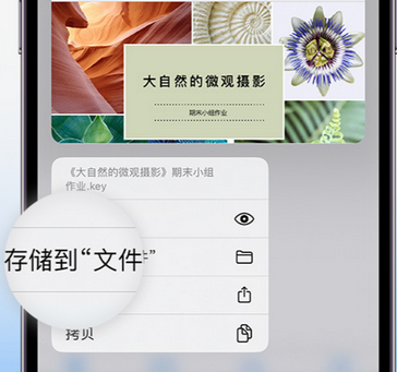 兰州apple维修中心分享iPhone文件应用中存储和找到下载文件