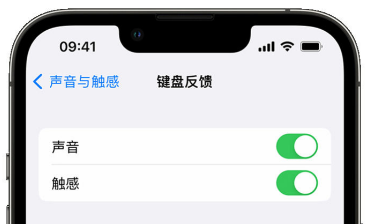 兰州苹果手机维修分享iPhone 14触感键盘使用方法 