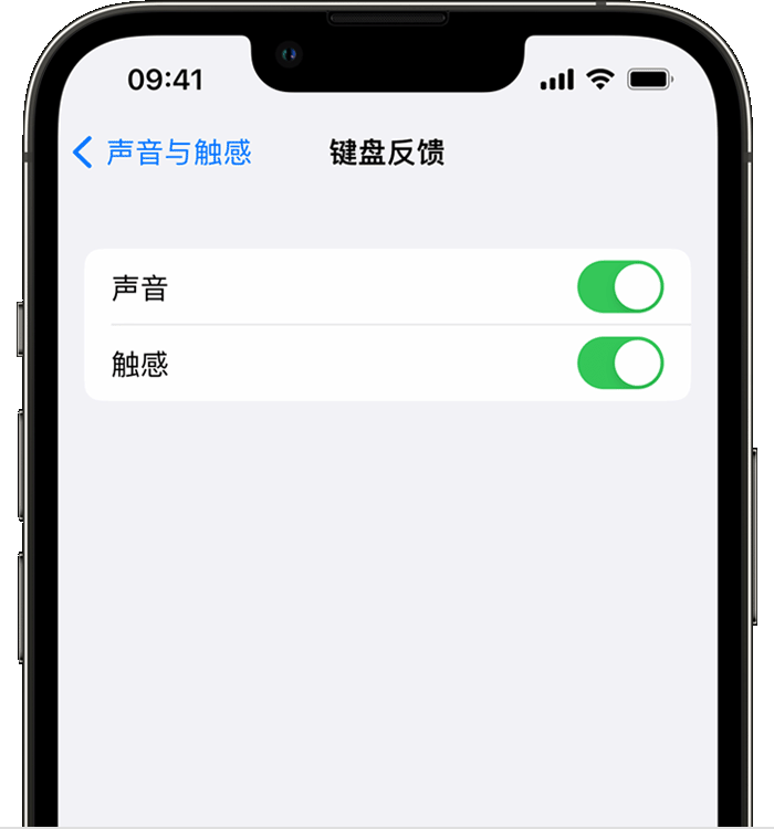 兰州苹果14维修店分享如何在 iPhone 14 机型中使用触感键盘 