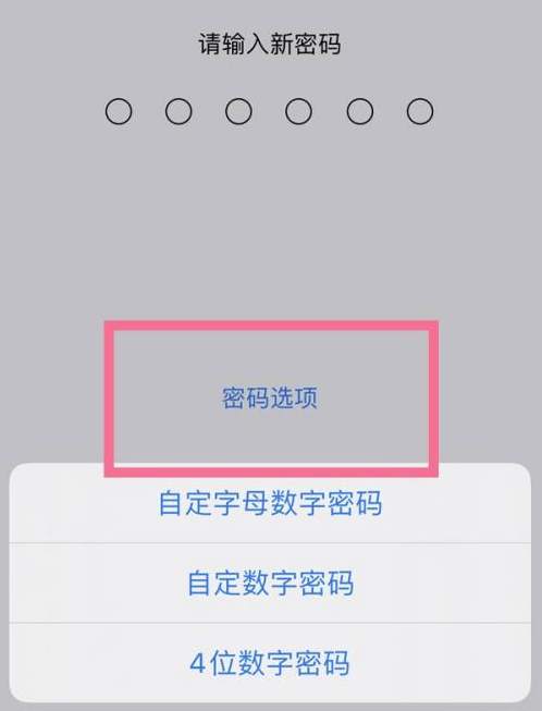 兰州苹果14维修分享iPhone 14plus设置密码的方法 