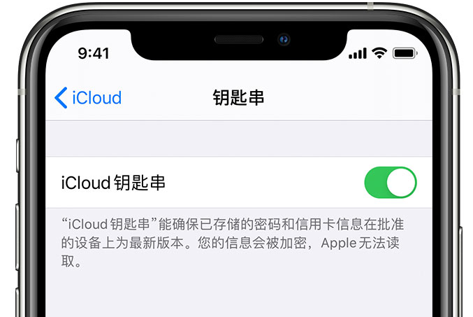 兰州苹果手机维修分享在 iPhone 上开启 iCloud 钥匙串之后会储存哪些信息 