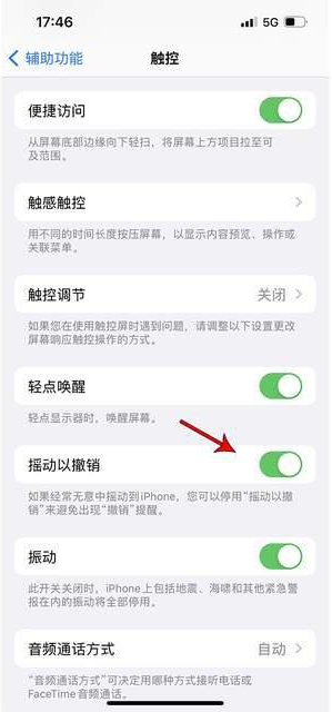 兰州苹果手机维修分享iPhone手机如何设置摇一摇删除文字 